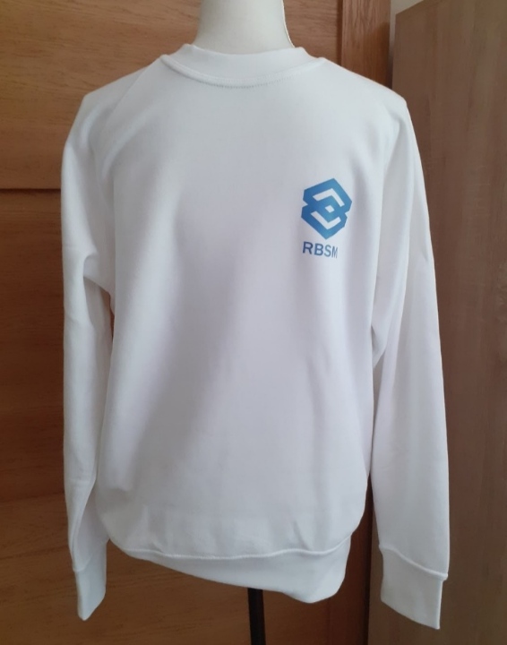 RBSM 1